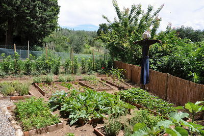 Orto - Vegetable Garden