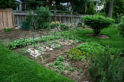 Spring Vegetable Garden