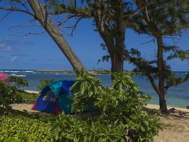 Beach Camping