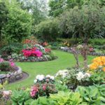 Garden Shrubs and Plants