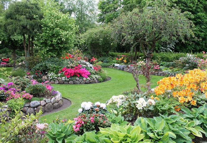 Garden Shrubs and Plants
