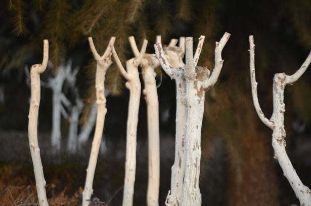 Tree Pruning