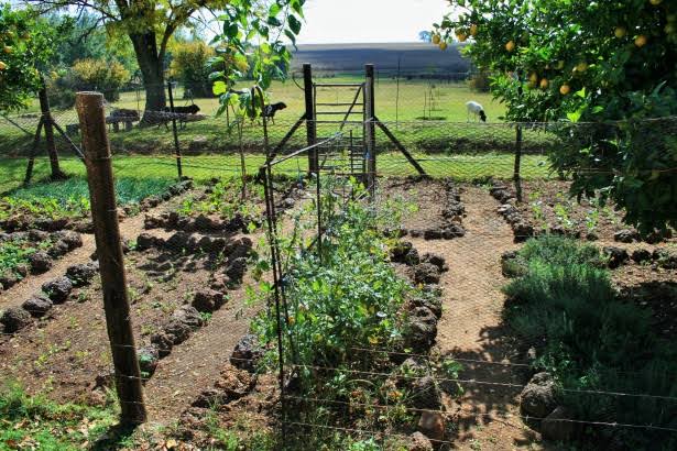 Herb Garden