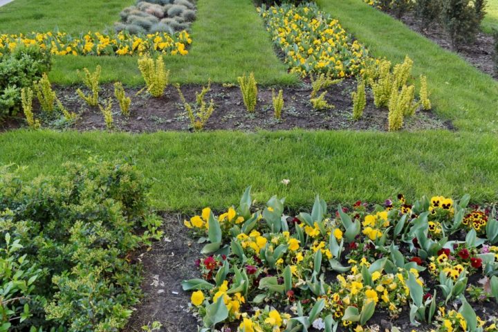 Herb Garden