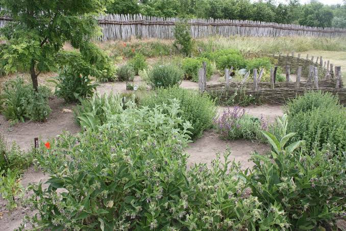 Herb Garden