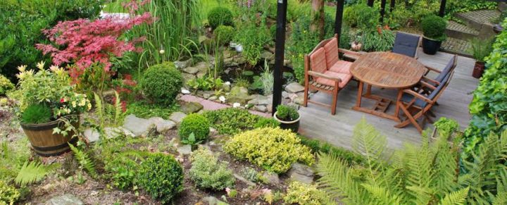 Backyard Landscape Design