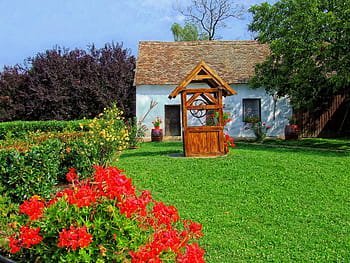 Green Lawn