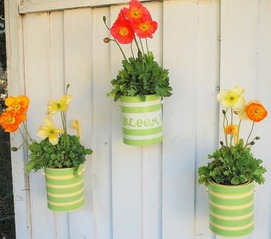 DIY Recycle Plant Pots