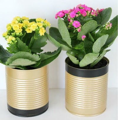 DIY Recycle Plant Pots