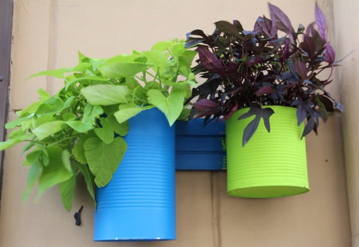 DIY Recycle Plant Pots