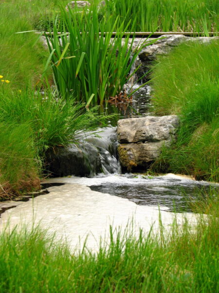 Water Garden