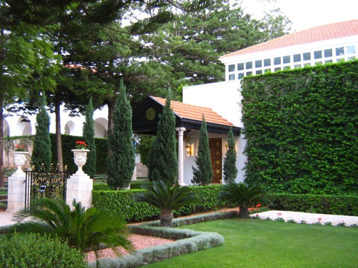 Affordable Landscaping