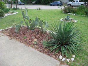 Xeriscape Landscaping