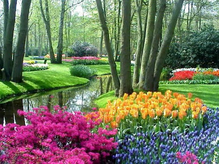 A landscape picture with a stream and flowers