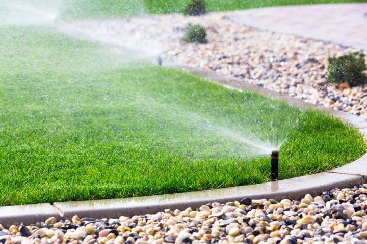 A picture of garden sprayers on a lawn