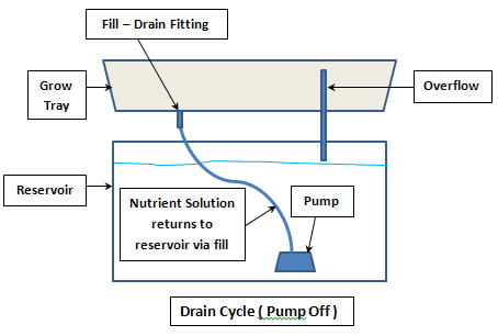 Hydroponics Ebb and Flow Hydroponics Ebb and Flow