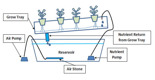 Hydroponics Recovery - Non Recovery Hydroponics Nutrient Fim Technique